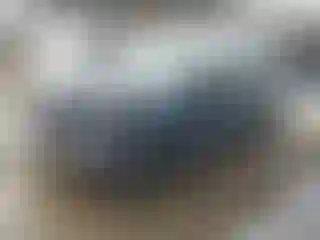 Vehicle Image- 2024 Toyota Prius
