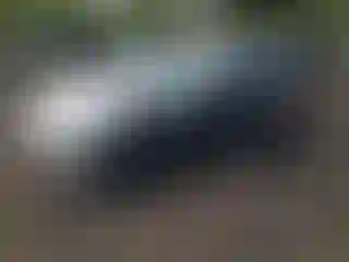 Vehicle Image- 2024 Toyota Prius