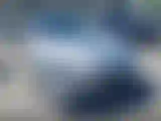 Vehicle Image- 2025 Toyota Prius