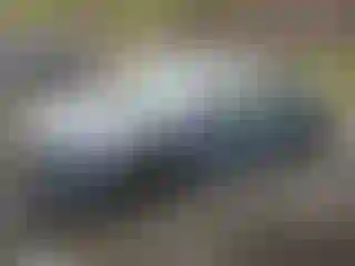 Vehicle Image- 2024 Toyota Prius