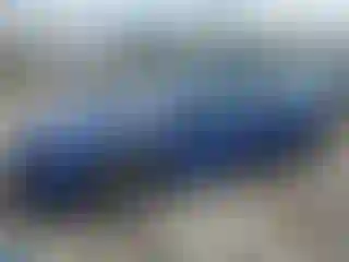 Vehicle Image- 2024 Toyota Prius