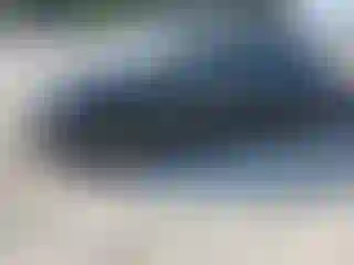 Vehicle Image- 2024 Toyota Prius