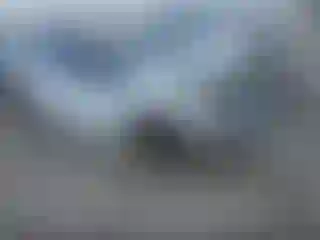 Vehicle Image- 2024 Toyota Prius