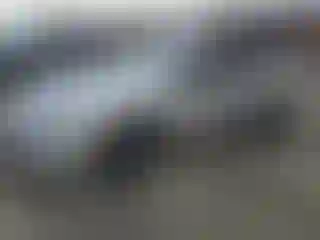 Vehicle Image- 2024 Toyota Prius