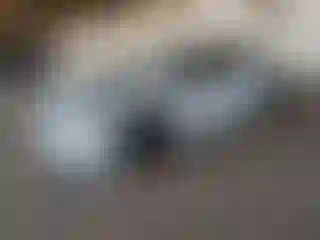 Vehicle Image- 2025 Toyota Prius