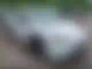 Vehicle Image- 2024 Toyota Prius