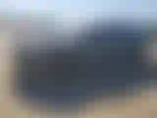 Vehicle Image- 2024 Toyota Prius