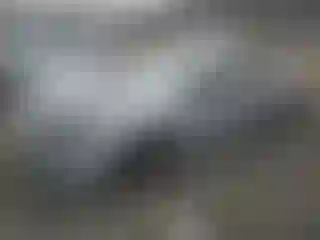 Vehicle Image- 2024 Toyota Prius