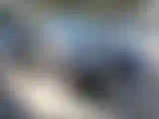 Vehicle Image- 2024 Toyota Prius