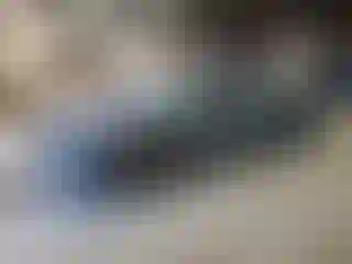 Vehicle Image- 2023 Toyota Prius