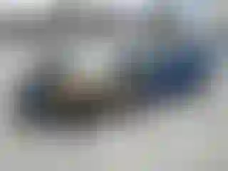 Vehicle Image- 2025 Toyota Prius