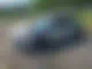 Vehicle Image- 2023 Toyota Prius