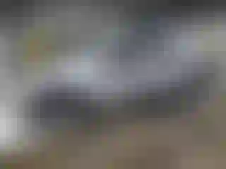 Vehicle Image- 2024 Toyota Prius