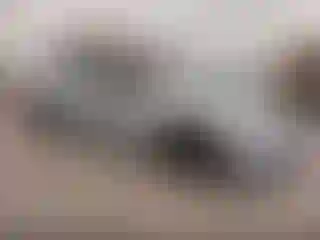 Vehicle Image- 2023 Toyota Prius