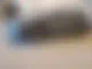 Vehicle Image- 2023 Toyota Prius