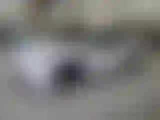 Vehicle Image- 2024 Toyota Prius