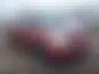 Vehicle Image- 2003 Toyota Echo