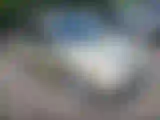 Vehicle Image- 2001 Toyota Echo