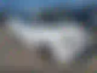 Vehicle Image- 2003 Toyota Echo