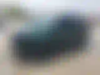 Vehicle Image- 2003 Toyota Echo