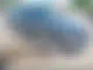 Vehicle Image- 2023 Toyota Corolla