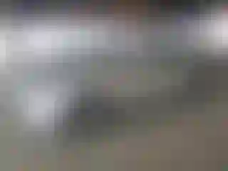 Vehicle Image- 2024 Toyota Corolla