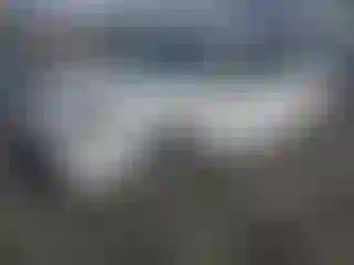 Vehicle Image- 2023 Toyota Corolla