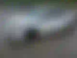 Vehicle Image- 2023 Toyota Corolla