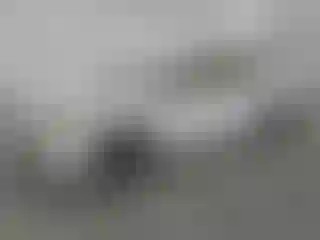 Vehicle Image- 2023 Toyota Corolla