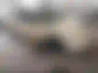 Vehicle Image- 2005 Toyota Camry