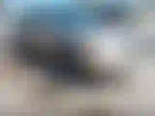 Vehicle Image- 2004 Toyota Camry