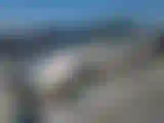 Vehicle Image- 2002 Toyota Camry