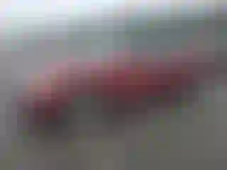 Vehicle Image- 2002 Toyota Camry
