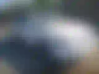Vehicle Image- 2002 Toyota Camry