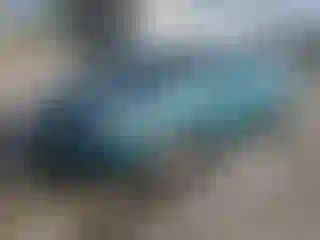 Vehicle Image- 2009 Toyota Corolla