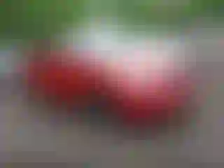 Vehicle Image- 2009 Toyota Corolla