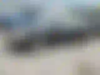 Vehicle Image- 2009 Toyota Corolla