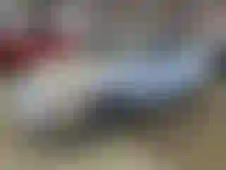 Vehicle Image- 2009 Toyota Corolla