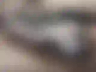 Vehicle Image- 2009 Toyota Corolla