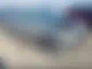 Vehicle Image- 2009 Toyota Corolla