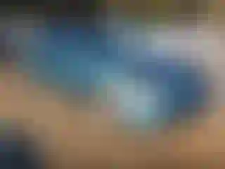 Vehicle Image- 2009 Toyota Corolla