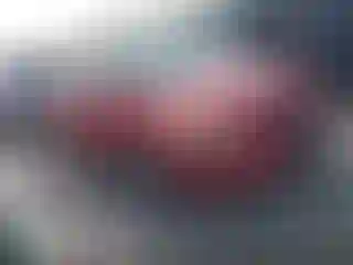 Vehicle Image- 2009 Toyota Corolla