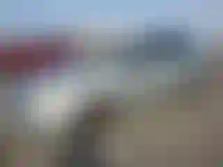 Vehicle Image- 2003 Toyota Corolla