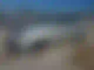 Vehicle Image- 2004 Toyota Corolla