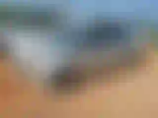 Vehicle Image- 2004 Toyota Corolla