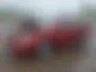 Vehicle Image- 2005 Toyota Corolla