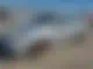 Vehicle Image- 2006 Toyota Corolla