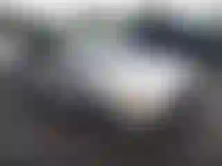 Vehicle Image- 2007 Toyota Corolla