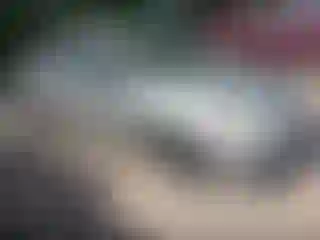 Vehicle Image- 2004 Toyota Corolla
