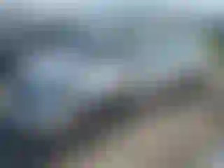 Vehicle Image- 2005 Toyota Corolla